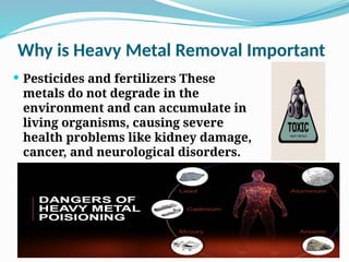 removal of heavy Metals from wastewater using nano particles by SHAN ...