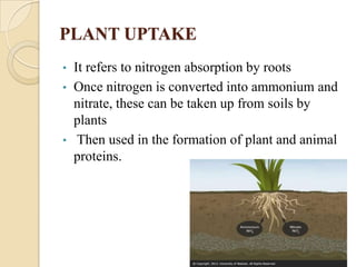 Removal of nitrogen and phosphorous in soil | PPTX