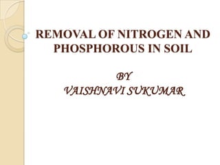 REMOVAL OF NITROGEN AND
PHOSPHOROUS IN SOIL
BY
VAISHNAVI SUKUMAR

 
