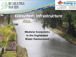 Ecosystem Infrastructure
Modular Ecosystems
In the Engineered
Water Environment
BI MATRIX
WATER
 