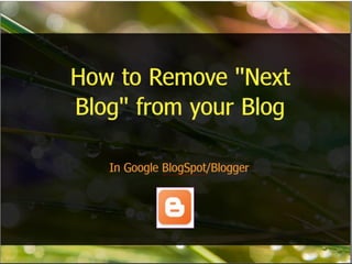 Remove  next blog- link