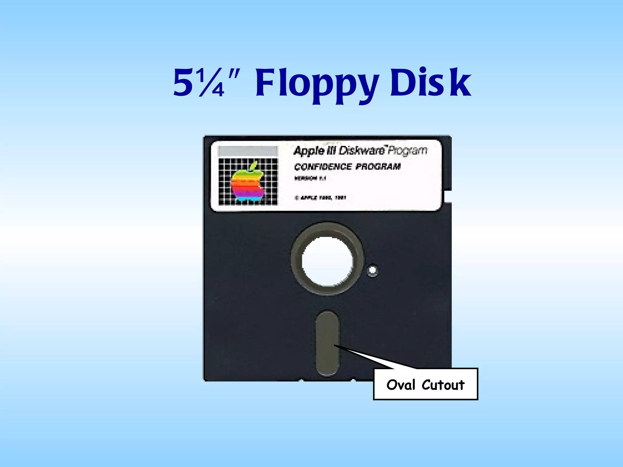 5¼″ Floppy Disk Oval Cutout 