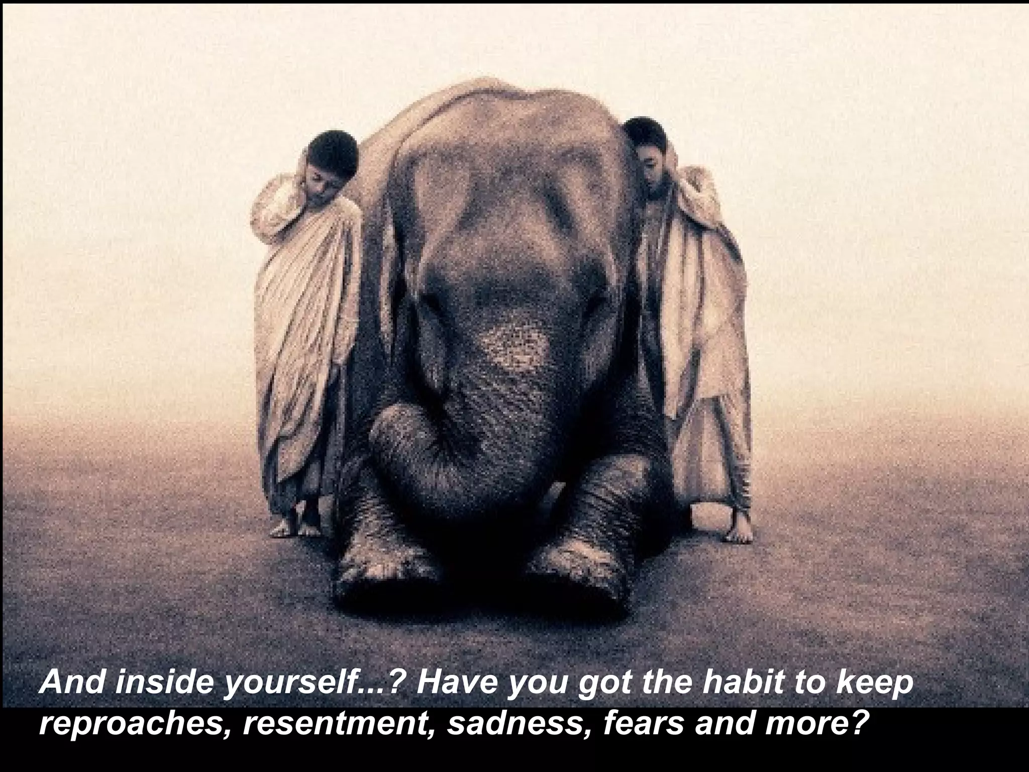 And inside yourself...? Have you got the habit to keep reproaches, resentment, sadness, fears and more?   