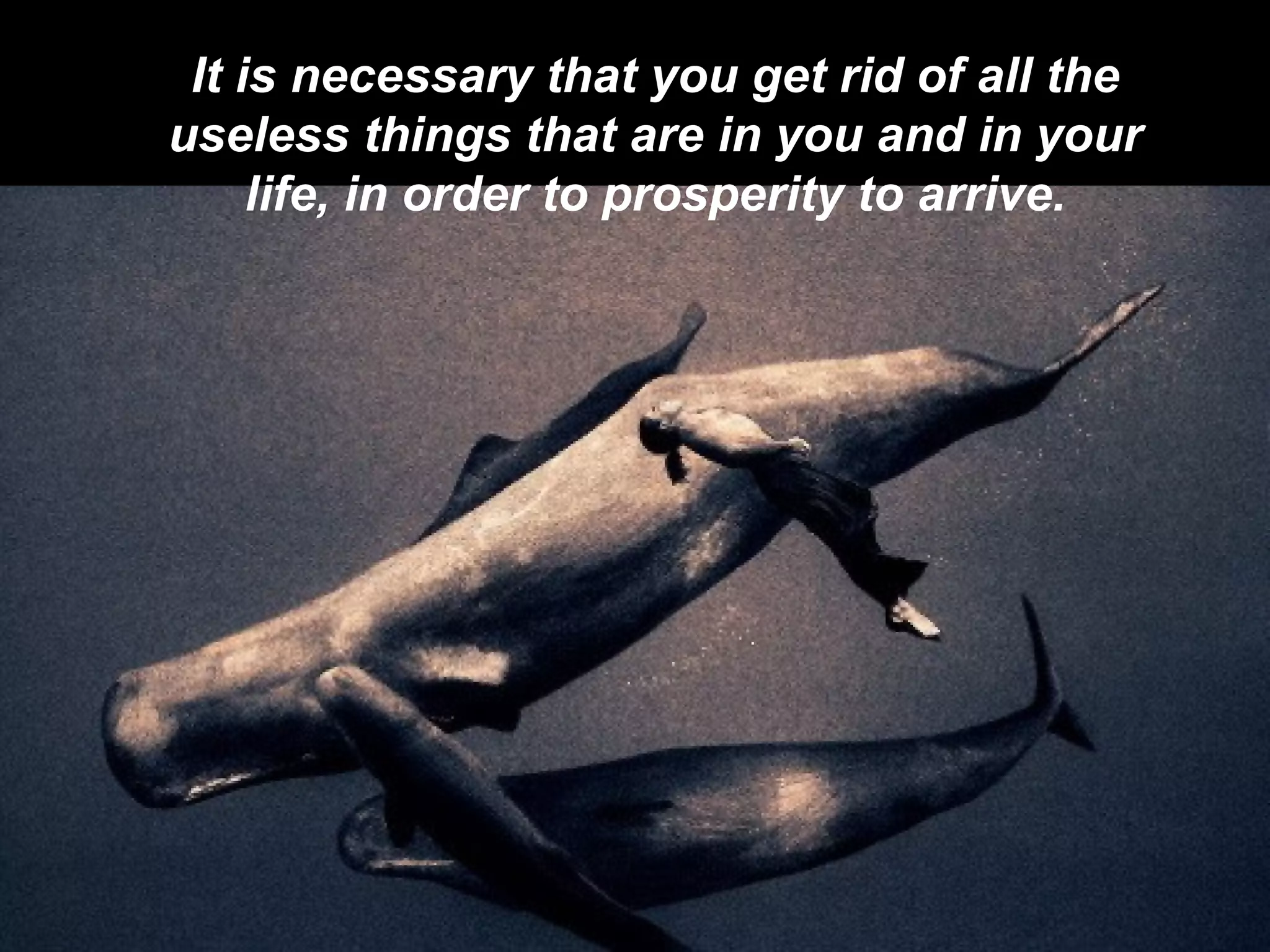 It is necessary that you get rid of all the useless things that are in you and in your life, in order to prosperity to arrive. 