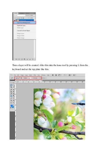 Complex Background Remove In Photoshop Guide Complex Background Remove In Photoshop Guide