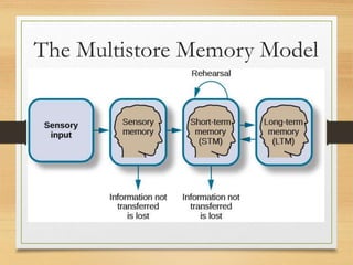 The Multistore Memory Model
 