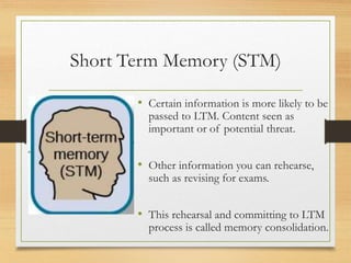 Short Term Memory (STM)
• Certain information is more likely to be
passed to LTM. Content seen as
important or of potential threat.
• Other information you can rehearse,
such as revising for exams.
• This rehearsal and committing to LTM
process is called memory consolidation.
 