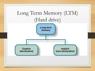 Long Term Memory (LTM)
(Hard drive)
 