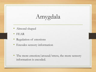 Amygdala
• Almond shaped
• FEAR
• Regulation of emotions
• Encodes sensory information
• The more emotion/arousal/stress, the more sensory
information is encoded.
 