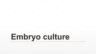Embryo culture
 