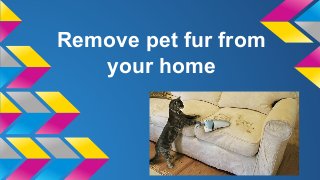 Remove pet fur from
your home
 