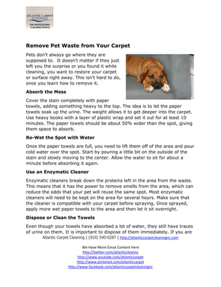 Atlantic Carpet Cleaning | (910) 540-0287 | http://atlanticcarpetcleaningnc.com
We Have More Great Content Here
http://twitter.com/atlanticcleannc
http://www.youtube.com/atlanticcarpet
http://www.pinterest.com/atlanticcarpet
http://www.facebook.com/atlanticcarpetcleaningnc
Remove Pet Waste from Your Carpet
Pets don’t always go where they are
supposed to. It doesn’t matter if they just
left you the surprise or you found it while
cleaning, you want to restore your carpet
or surface right away. This isn’t hard to do,
once you learn how to remove it.
Absorb the Mess
Cover the stain completely with paper
towels, adding something heavy to the top. The idea is to let the paper
towels soak up the urine. The weight allows it to get deeper into the carpet.
Use heavy books with a layer of plastic wrap and set it out for at least 10
minutes. The paper towels should be about 50% wider than the spot, giving
them space to absorb.
Re-Wet the Spot with Water
Once the paper towels are full, you need to lift them off of the area and pour
cold water over the spot. Start by pouring a little bit on the outside of the
stain and slowly moving to the center. Allow the water to sit for about a
minute before absorbing it again.
Use an Enzymatic Cleaner
Enzymatic cleaners break down the proteins left in the area from the waste.
This means that it has the power to remove smells from the area, which can
reduce the odds that your pet will reuse the same spot. Most enzymatic
cleaners will need to be kept on the area for several hours. Make sure that
the cleaner is compatible with your carpet before spraying. Once sprayed,
apply more wet paper towels to the area and then let it sit overnight.
Dispose or Clean the Towels
Even though your towels have absorbed a lot of water, they still have traces
of urine on them. It is important to dispose of them immediately. If you are
 