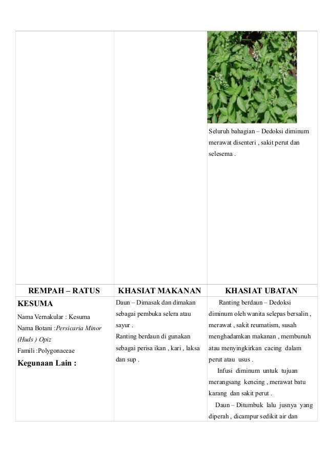 Rempah ratus