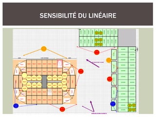 SENSIBILITÉ DU LINÉAIRE
 