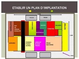 ETABLIR UN PLAN D’IMPLANTATION
                                                 4,80M


                           TIROIR                            TIROIR
EXOTIQUES




                                 GARNITURES




                                                                                          MELON
             PDT
                                                         CRUDITÉS               SALADES
             AIL
             OIGNON                                                   TOMATES
             ECHALOTE
                                               RATATOUILLE

                                                                                                  1,20M




                        POMMES                ABRICOT
AGRUMES                                                             PÊCHE
                        POIRES                RAISIN
                                                                    NECTARINE
                        AUTRES                PRUNE
 