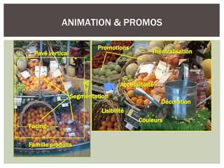 ANIMATION & PROMOS
 