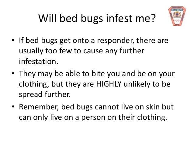 Rems bed bugs