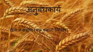 अनुबिंधकाया 
खेती सेसिंबिंधधत एक क ानी मलखखए। 
 