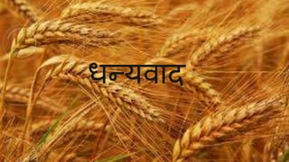 धन्यवाद 
