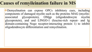 Demyelination can expose OPCs inhibitory cues, including
components of damaged myelin such as the proteins MAG (myelin-
associated glycoprotein), OMgp (oligodendrocyte myelin
glycoprotein), and and LINGO-1 (leucine-rich repeat- and Ig
domain-containing Nogo receptor-interacting protein 1) to inhibit
oligodendrocyte differentiation and remyelination.
Causes of remyileination failure in MS
 