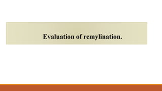 Evaluation of remylination.
 