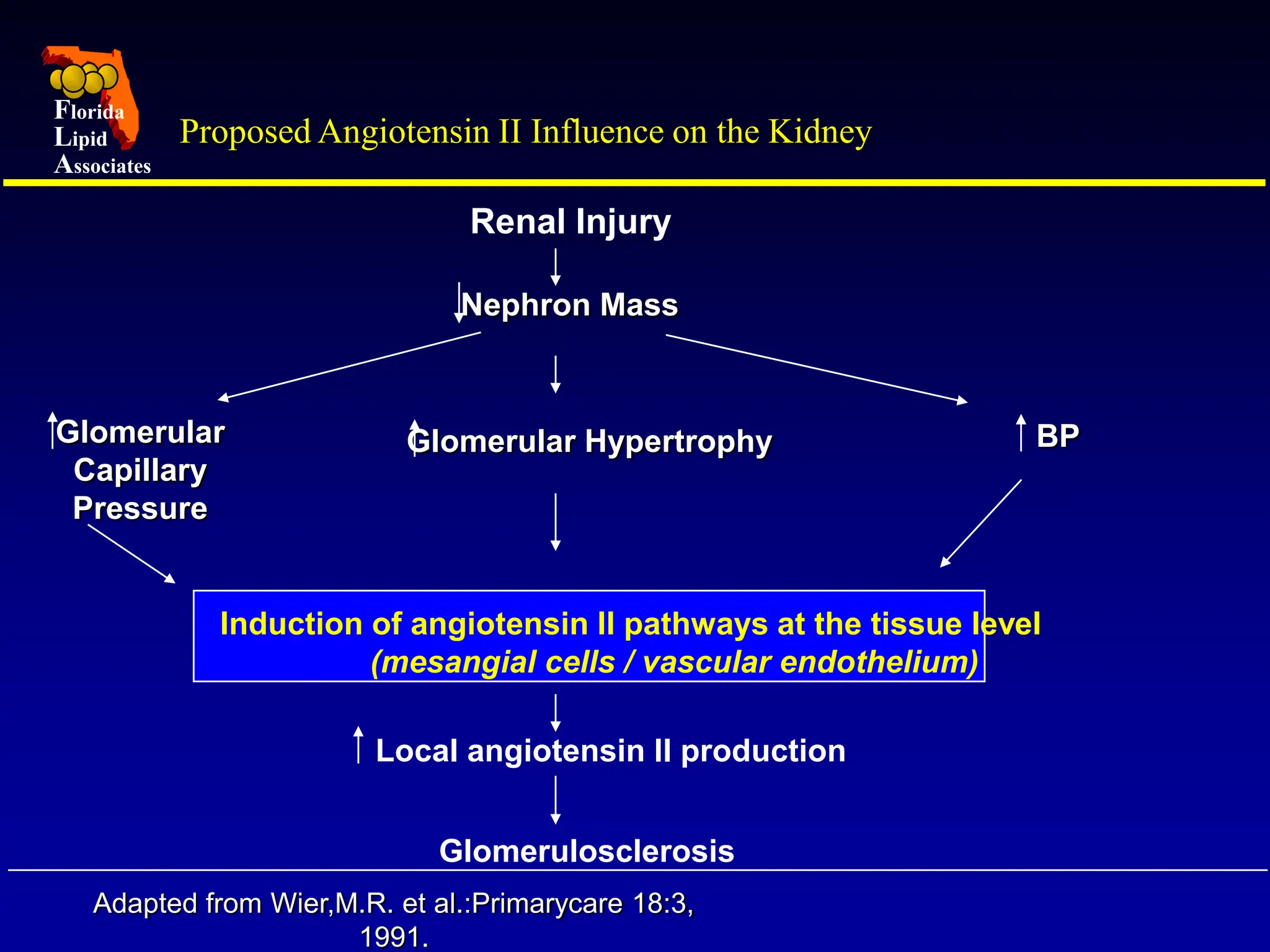 angiotensin II mediated effects on vasculature and kidney | PPT