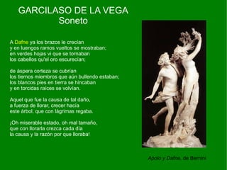 GARCILASO DE LA VEGA
          Soneto

A Dafne ya los brazos le crecían
y en luengos ramos vueltos se mostraban;
en verdes hojas vi que se tornaban
los cabellos qu'el oro escurecían;

de áspera corteza se cubrían
los tiernos miembros que aún bullendo estaban;
los blancos pies en tierra se hincaban
y en torcidas raíces se volvían.

Aquel que fue la causa de tal daño,
a fuerza de llorar, crecer hacía
este árbol, que con lágrimas regaba.

¡Oh miserable estado, oh mal tamaño,
que con llorarla crezca cada día
la causa y la razón por que lloraba!



                                                 Apolo y Dafne, de Bernini
 