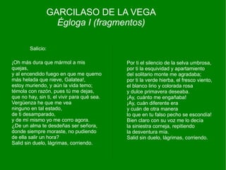 GARCILASO DE LA VEGA
                     Égloga I (fragmentos)

        Salicio:

¡Oh más dura que mármol a mis                Por ti el silencio de la selva umbrosa,
quejas,                                      por ti la esquividad y apartamiento
y al encendido fuego en que me quemo         del solitario monte me agradaba;
más helada que nieve, Galatea!,              por ti la verde hierba, el fresco viento,
estoy muriendo, y aún la vida temo;          el blanco lirio y colorada rosa
témola con razón, pues tú me dejas,          y dulce primavera deseaba.
que no hay, sin ti, el vivir para qué sea.   ¡Ay, cuánto me engañaba!
Vergüenza he que me vea                      ¡Ay, cuán diferente era
ninguno en tal estado,                       y cuán de otra manera
de ti desamparado,                           lo que en tu falso pecho se escondía!
y de mí mismo yo me corro agora.             Bien claro con su voz me lo decía
¿De un alma te desdeñas ser señora,          la siniestra corneja, repitiendo
donde siempre moraste, no pudiendo           la desventura mía.
de ella salir un hora?                       Salid sin duelo, lágrimas, corriendo.
Salid sin duelo, lágrimas, corriendo.
 