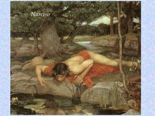 Narciso
 