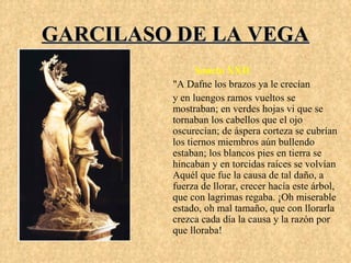 GARCILASO DE LA VEGA
               Soneto XXII
         "A Dafne los brazos ya le crecían
         y en luengos ramos vueltos se
         mostraban; en verdes hojas vi que se
         tornaban los cabellos que el ojo
         oscurecían; de áspera corteza se cubrían
         los tiernos miembros aún bullendo
         estaban; los blancos pies en tierra se
         hincaban y en torcidas raíces se volvían
         Aquél que fue la causa de tal daño, a
         fuerza de llorar, crecer hacía este árbol,
         que con lagrimas regaba. ¡Oh miserable
         estado, oh mal tamaño, que con llorarla
         crezca cada día la causa y la razón por
         que lloraba!
 
