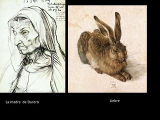 La madre de Durero Liebre
 