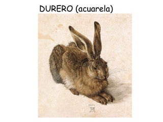 DURERO (acuarela) 
