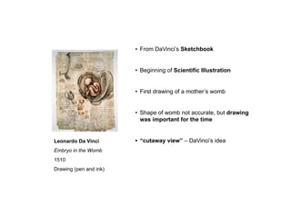 Leonardo Da Vinci
Embryo in the Womb
1510
Drawing (pen and ink)
• From DaVinci’s Sketchbook
• Beginning of Scientific Illustration
• First drawing of a mother’s womb
• Shape of womb not accurate, but drawing
was important for the time
• “cutaway view” – DaVinci’s idea
 