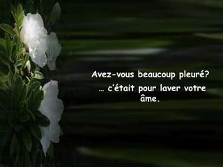 Avez-vous beaucoup pleuré?
 … c’était pour laver votre
           âme.
 
