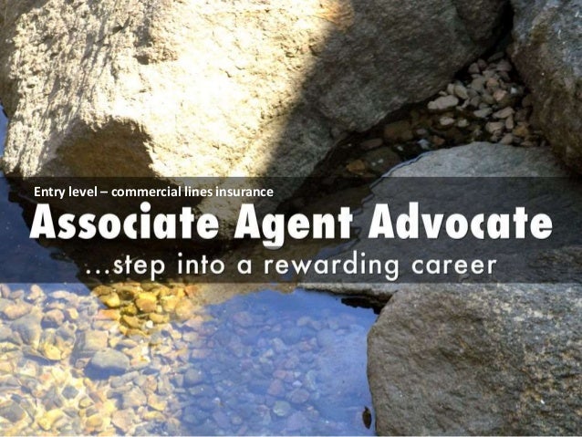 Renaissance Alliance Insurance Services, LLC Entry level