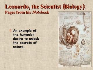 Leonardo, the Scientist (Biology): Pages from his  Notebook An example of the humanist desire to unlock the secrets of nature. 