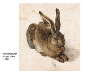 Albrecht Dürer, Junger Hase, (1502) 