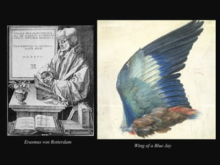 Erasmus von Rotterdam

Wing of a Blue Jay

 