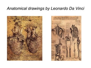 Anatomical drawings by Leonardo Da Vinci 