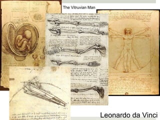 The Vitruvian Man




                    Leonardo da Vinci
 