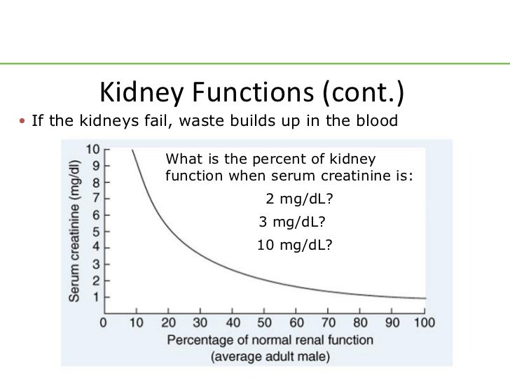 Renal