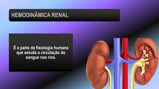 É a parte da fisiologia humana
que estuda a circulação do
sangue nos rins.
HEMODINÂMICA RENAL
 