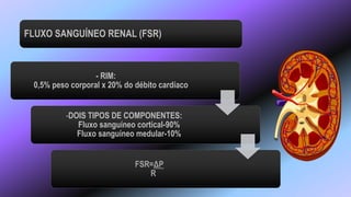 - RIM:
0,5% peso corporal x 20% do débito cardíaco
-DOIS TIPOS DE COMPONENTES:
Fluxo sanguíneo cortical-90%
Fluxo sanguíneo medular-10%
FSR=ΔP
R
FLUXO SANGUÍNEO RENAL (FSR)
 