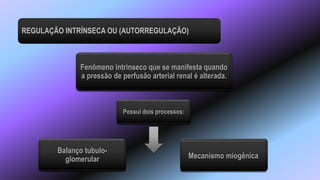 REGULAÇÃO INTRÍNSECA OU (AUTORREGULAÇÃO)
Fenômeno intrínseco que se manifesta quando
a pressão de perfusão arterial renal é alterada.
Possui dois processos:
Mecanismo miogênica
Balanço tubulo-
glomerular
 