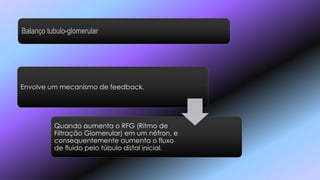 Envolve um mecanismo de feedback.
Quando aumenta o RFG (Ritmo de
Filtração Glomerular) em um néfron, e
consequentemente aumenta o fluxo
de fluido pelo túbulo distal inicial.
Balanço tubulo-glomerular
 