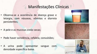 Manifestações Clinicas
• Observa-se a ocorrência de doença grave e
letargia, com náuseas, vômitos e diarreia
persistentes;
• A pele e as mucosas estão secas;
• Pode haver sonolência, cefaleia, convulsões;
• A urina pode apresentar sangue com
densidade específica baixa.
 