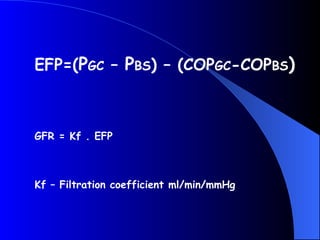 EFP=(PGC – PBS) – (COPGC-COPBS)
GFR = Kf . EFP
Kf – Filtration coefficient ml/min/mmHg
 