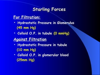 For Filtration:
• Hydrostatic Pressure in Glomerulus
(45 mm Hg)
• Colloid O.P. in tubule (0 mmHg)
Against Filtration
• Hydrostatic Pressure in tubule
(10 mm Hg)
• Colloid O.P. in glomerular blood
(25mm Hg)
Starling Forces
Starling Forces
 