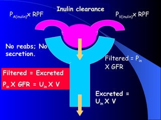 PA(inulin)x RPF PV(inulin)x RPF
Filtered = Pin
X GFR
Excreted =
Uin X V
Filtered = Excreted
Pin X GFR = Uin X V
No reabs; No
secretion.
Inulin clearance
 