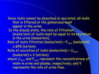 Since inulin cannot be absorbed or secreted, all inulin
that is filtered at the glomerulus must
appear in the urine.
In the steady state, the rate of filtration
(moles/min) of inulin must be equal to its excretion
in the urine (moles/min).
Rate of inulin filtration (moles/min) = Pinulin (moles/ml)
x GFR (ml/min)
Rate of excretion of inulin (moles/min) = Uinulin
(moles/ml) x V (ml/min)
where Uinulin and Pinulin represent the concentrations of
inulin in urine and plasma, respectively, and V
represents the rate of urine flow.
 